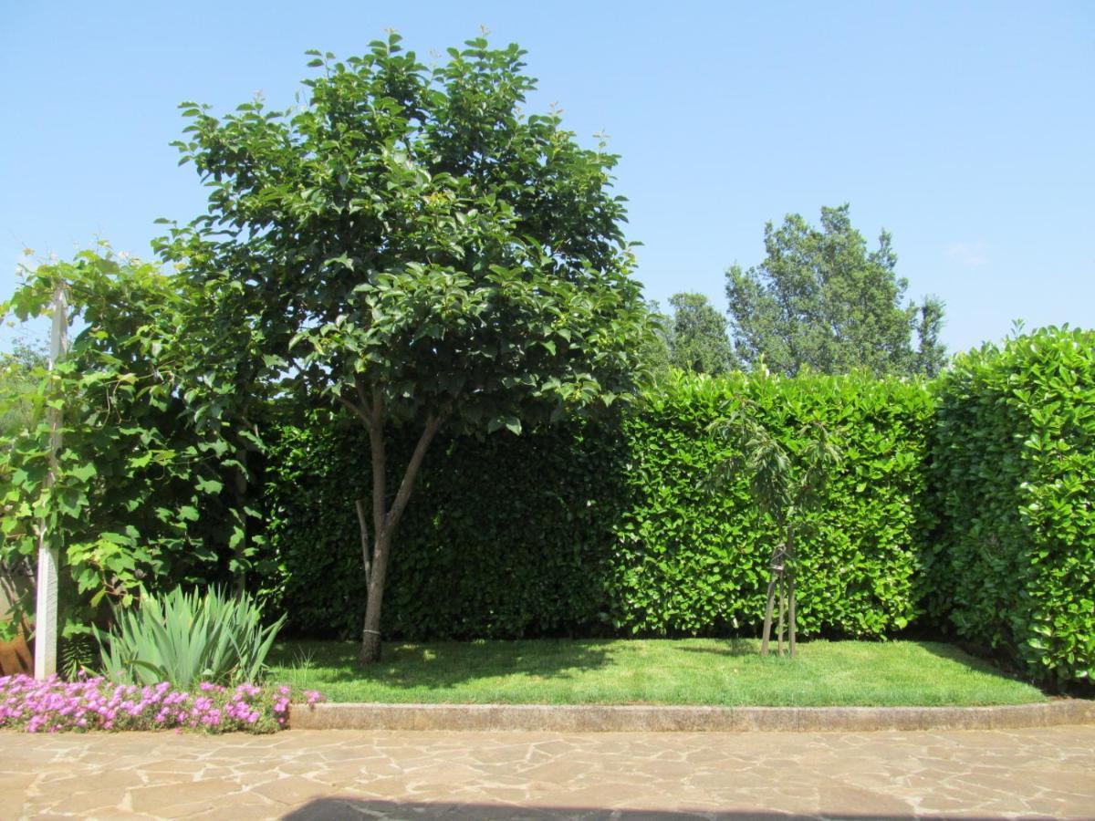 Apartments Zvezdica*** With Garden Zambratija  Dış mekan fotoğraf