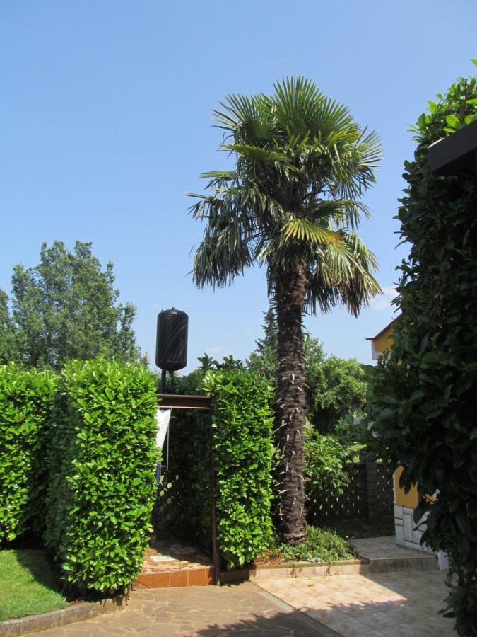 Apartments Zvezdica*** With Garden Zambratija  Dış mekan fotoğraf